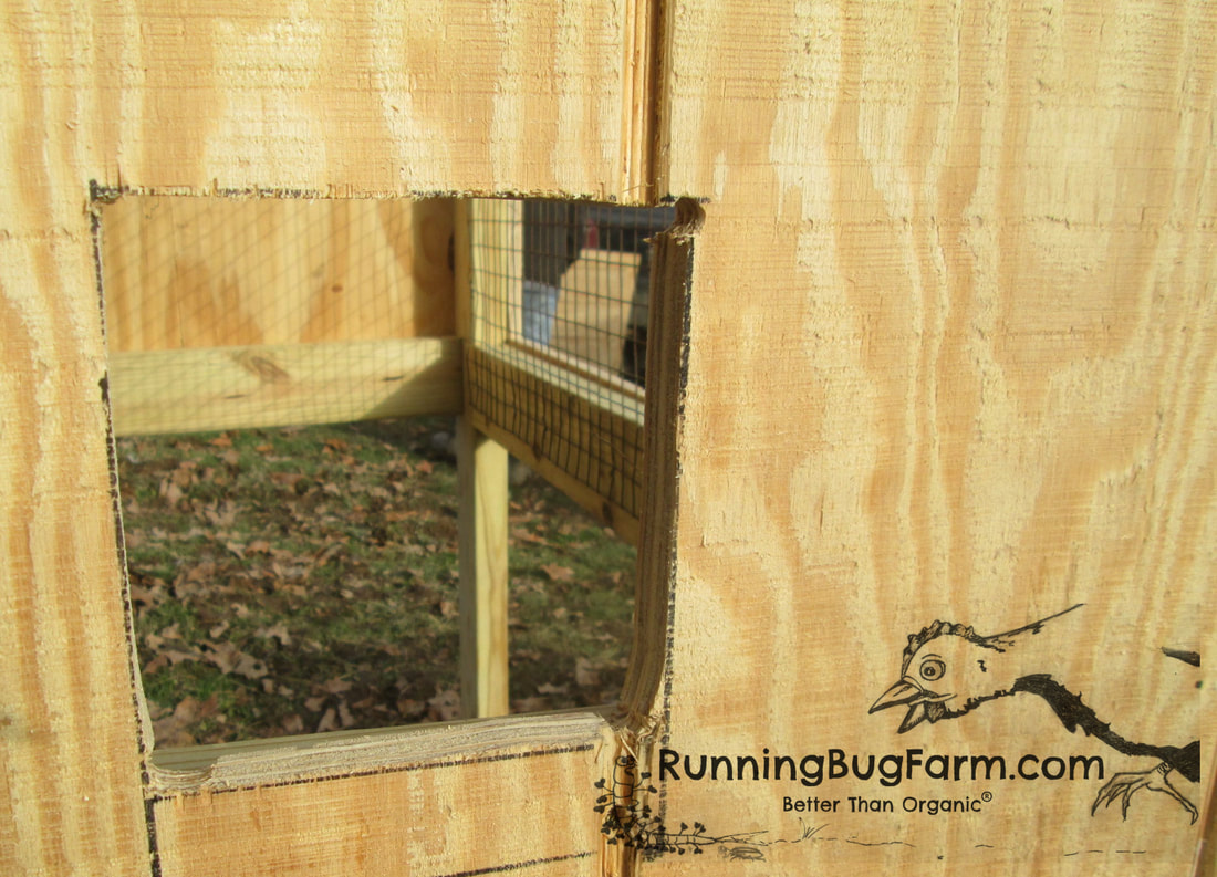 Easy DIY outdoor wooden angora rabbit hutch. Where to cut the hole for the nest box. Use marker to draw out the spot and size. Then use a 3/8 drill bit in the corners. Insert a jigsaw to complete the cut. The size of the hole is 5x5