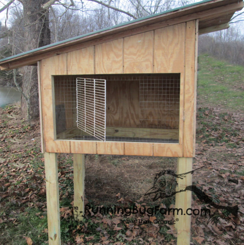 DIY angora rabbit hutch housing near completion. The roof and door (17x13