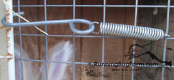 Here is a door latch option for building your own angora rabbit hutch. These spring latches are very strong.