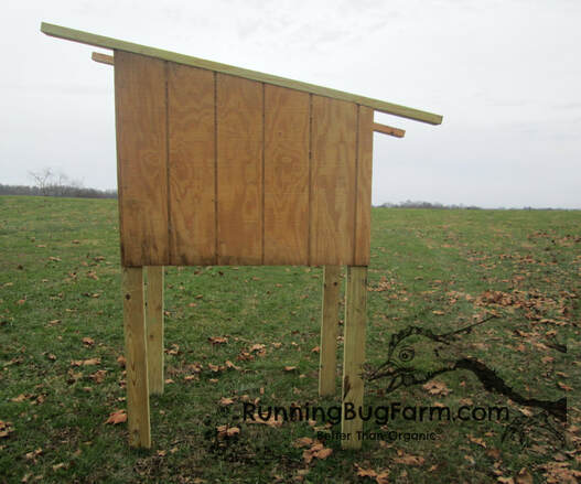 Learn how to build your own DIY outdoor rabbit hutch. Here you can see the back of the hutch where plywood barn siding has been attached.