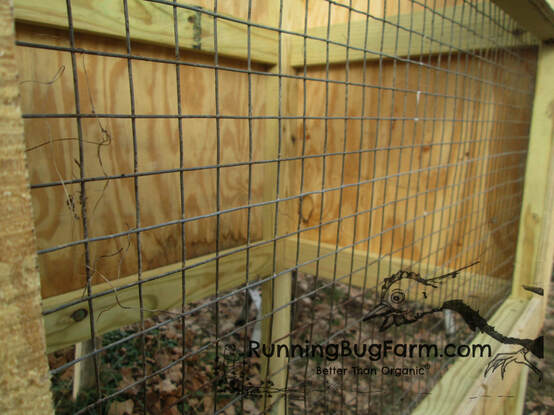 Build your own outdoor angora rabbit hutch. Here you can see The front of the hutch (size minimum: 27x44x69x70