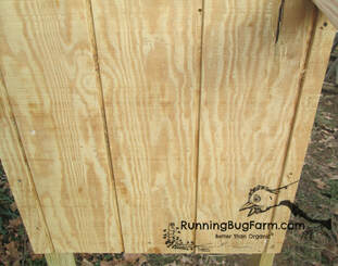 Easy DIY angora rabbit hutch for the outdoors. This is the shorter side wall (size minimum 28x27