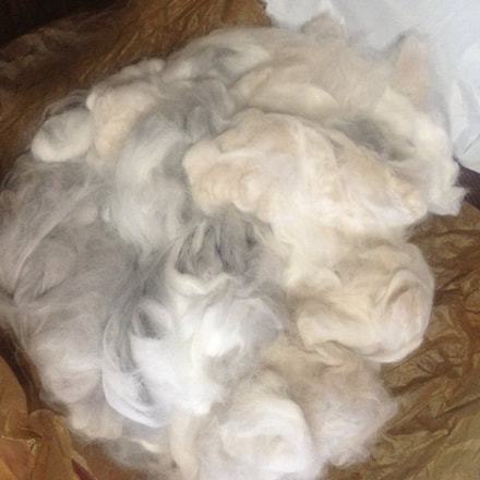  My first ever angora purchase! I refuse to buy from big companies due to the cruelty the rabbits face. So I'm glad I made this purchase! So soft! Cannot wait to spin this up <3 than you and I'll be back.  Customer review of Mixed Angora Rabbit Wool from Running Bug Farm.