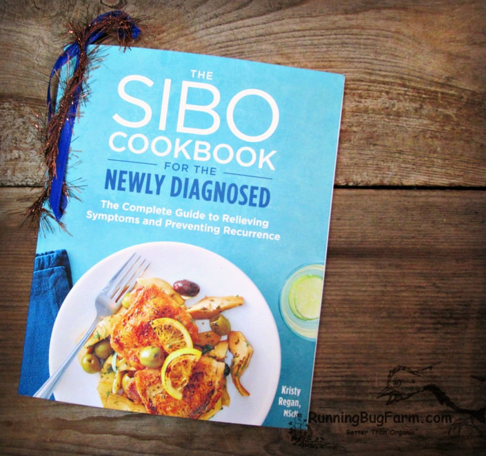 Review of 'The SIBO Cookbook for the Newly Diagnosed' by an Eco farm gal who has Endo.