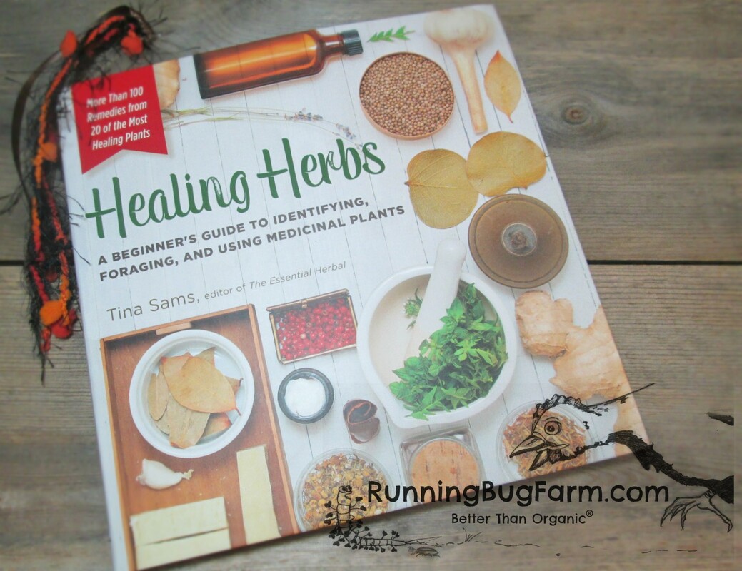 Are you looking for a simple book to get you started on utilizing your own herbs for health?  Here we give a brief review of the book Healing Herbs to help you decide if this is the right book for you.