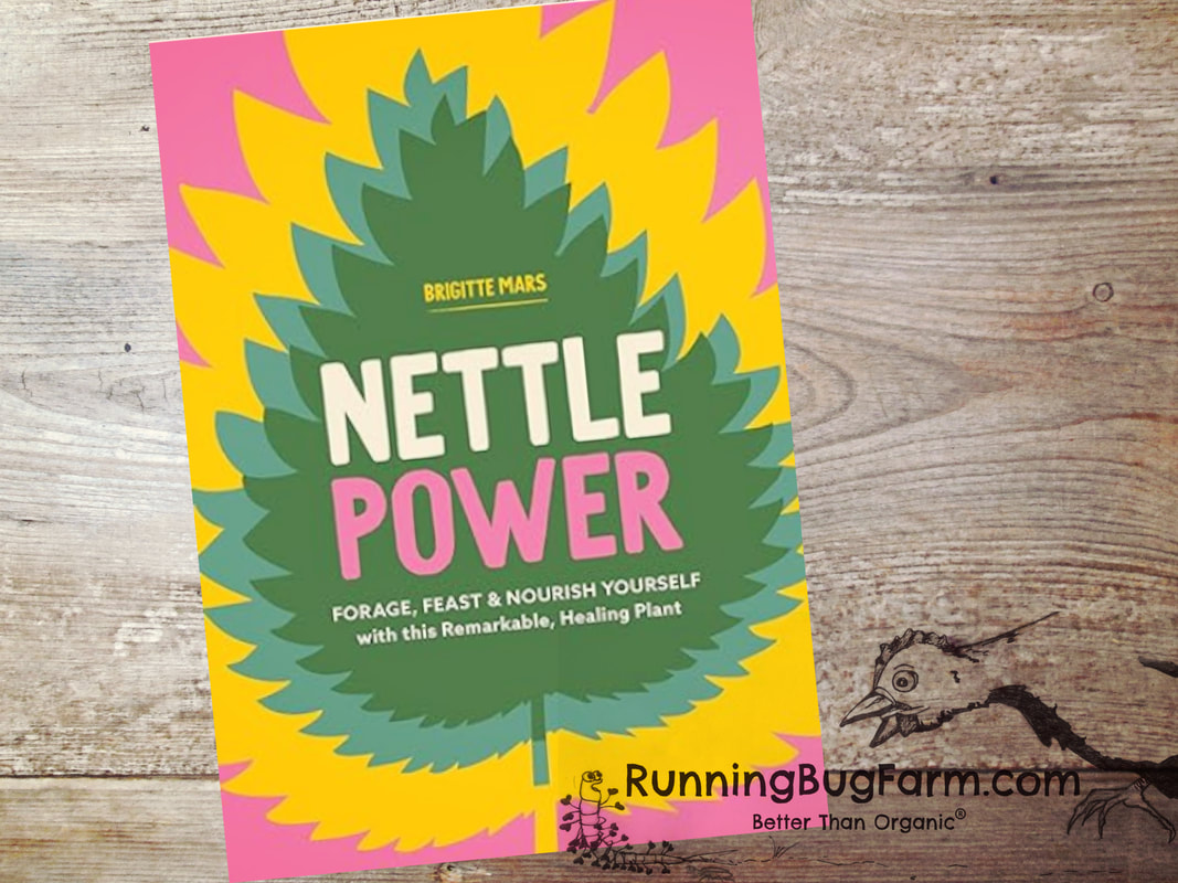 Is 'Nettle Power: Forage, Feast & Nourish Yourself with this Remarkable, Healing Plant' worth adding to your holistic library? I research the claims after reading this informative book from cover to cover and detail my results to help you decide.
