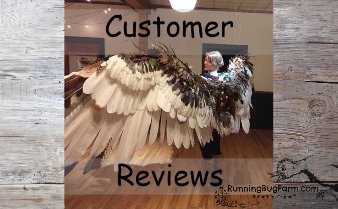 Feedback from our customers Real reviews & photos from people who've shopped at Running Bug Farm.