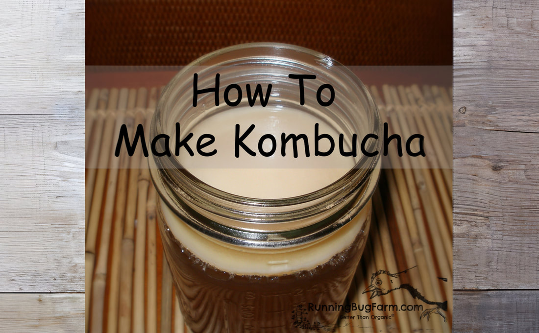 Learn how to quickly and easily make your own home brewed kombucha with our easy directions yet detailed instructions.  We provide plenty of photos and resources so you can make organic, non gmo, gut friendly kombucha at home.
