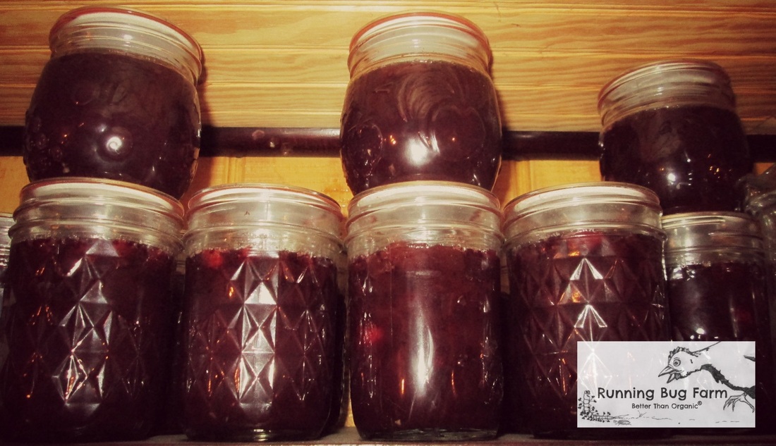 Learn how to make your own DIY cranberry sauce the old fashioned way on the stove top. It is tart & sweet and nothing like the canned stuff at the stores. I provide AIP & Paleo options as well as simple to print directions that wont use up reams of paper & ink.