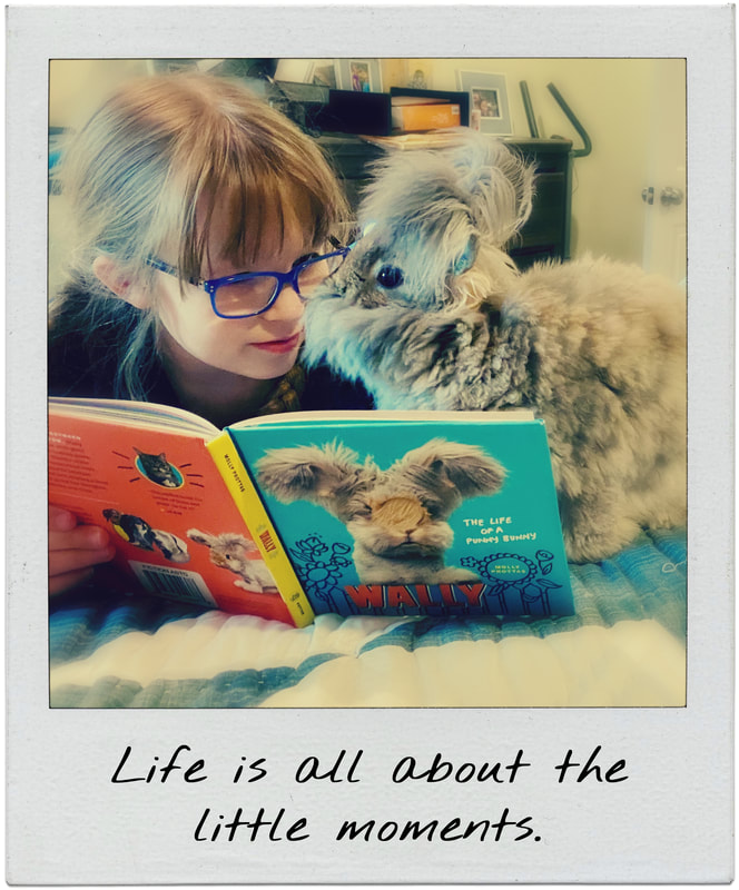 Polaroid of a young girl and a English angora rabbit laying in bed while looking at the book, Wally with the caption, Life is all about the little moments.