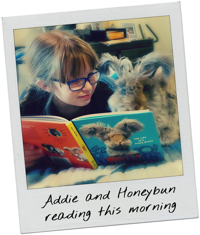 Polaroid of a young girl and a English angora rabbit laying in bed while looking at the book, Wally.