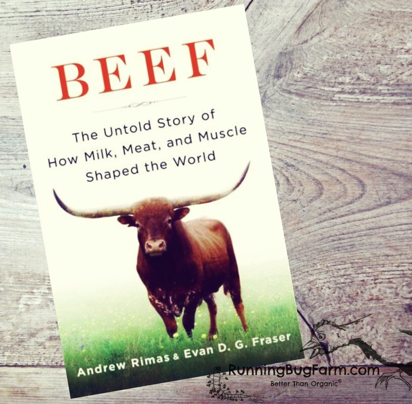 Beef the untold story of how milk, meat, and muscle changed the world