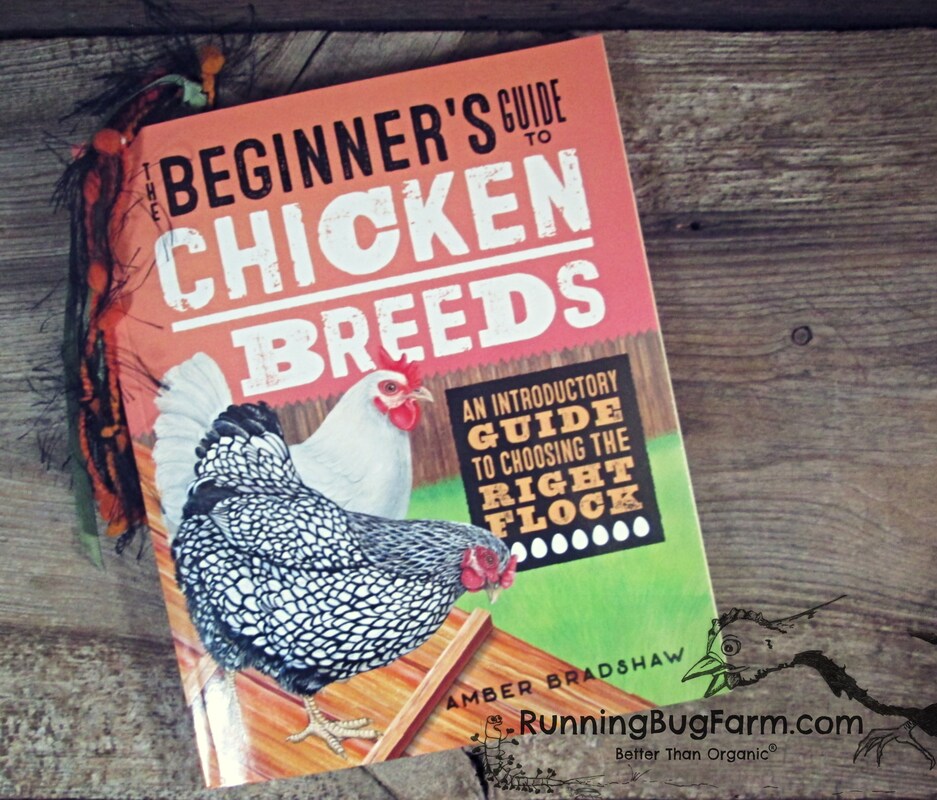 The Beginner's Guide to Chicken Breeds. A nearly 20 year 