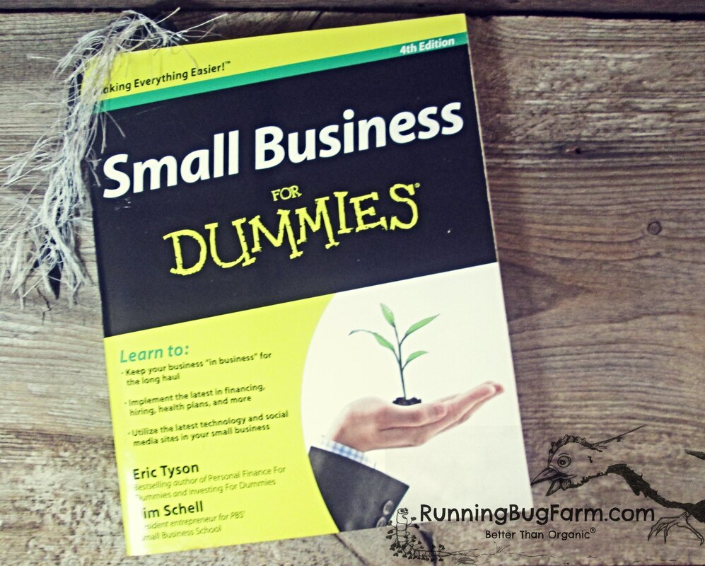 A micro business owners review of the book Small Business For Dummies.