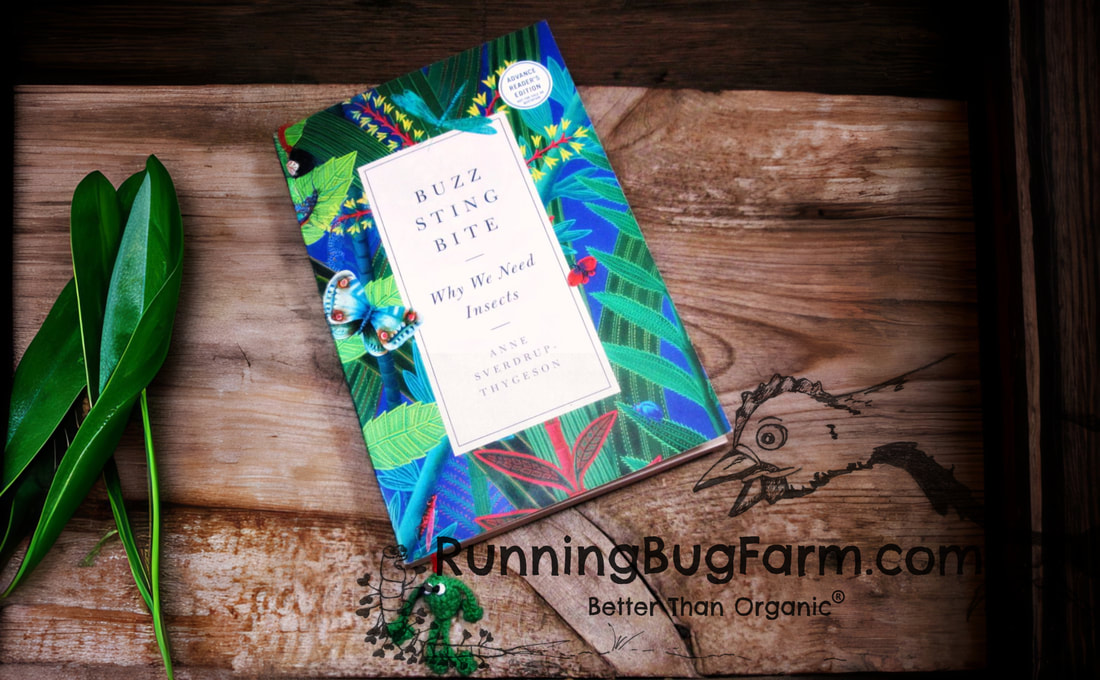 Running Bug Farm book review of Buzz Sting Bite Why We Need Insects by Anne Sverdrup Thygeson