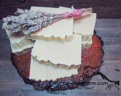 Learn how to make your own lavender goats milk soap using nothing but organic natural non gmo ingrdients.