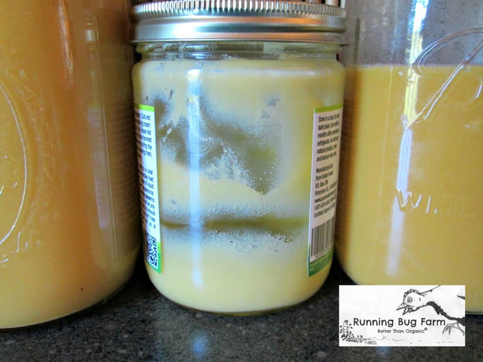 Store bought ghee can't compete with real homemade grass fed ghee. I show you how easy it is to make with these simple directions and plenty of photos.