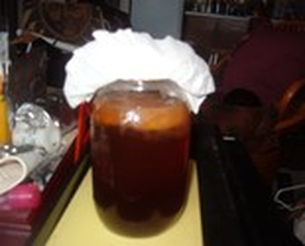 Picture from a Running Bug Farm customer showing the healthy Kombucha SCOBY growing at home.