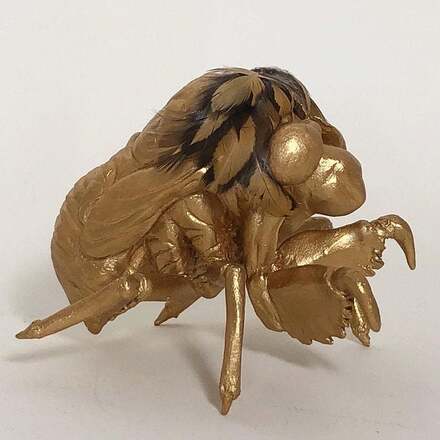 Picture of a hand crafted cicada sculpture accented with real bird feathers from Running Bug Farm.