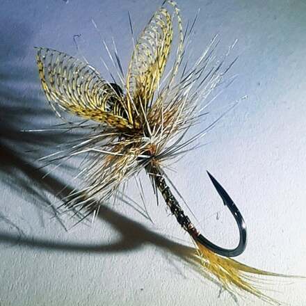 Picture of a handmade fly using feathers purchased from Running Bug Farm in West Virginia.