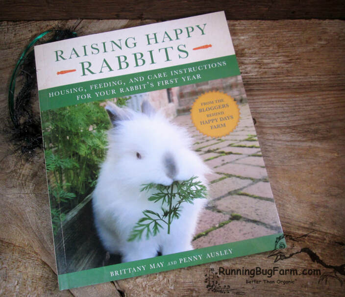 After nearly 2 decades of caring for rabbits, I'm always eager & willing to learn more. I picked up this book expecting an enjoyable read. Instead I got something entirely different.