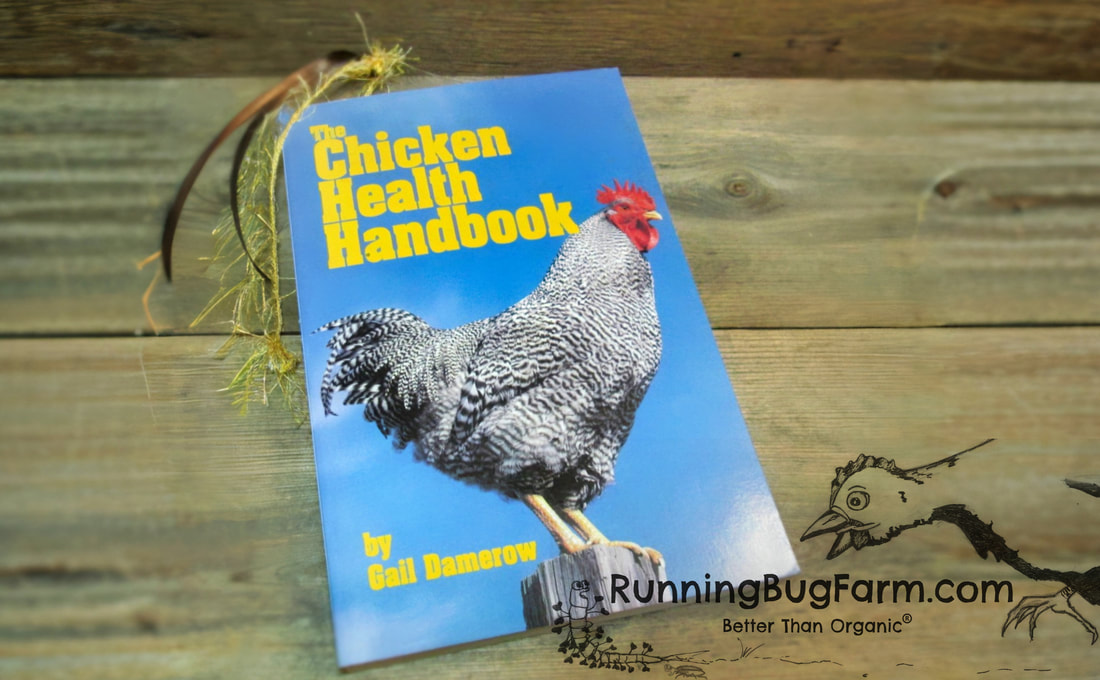 What do you do when your chicken gets sick?  How do you treat them?  How do you identify what is wrong.  Gail Damerow helps you sort through the confusion during this stressful time.