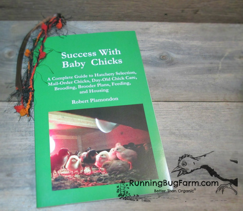 Success With Baby Chicks is the one and only book you'll ever need to get you started raising your own adorable fluff balls.