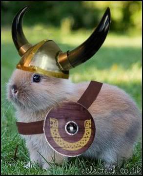 Picture of a dwarf bunny wearing viking armour