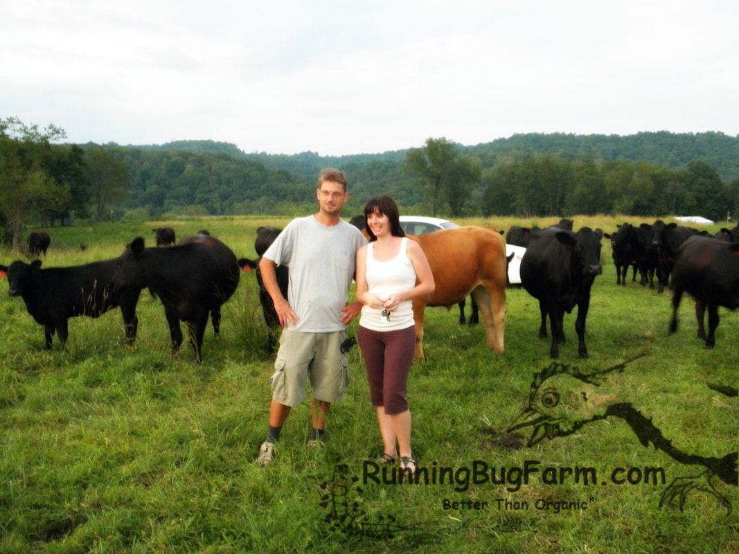 How we healed our bodies by changing our lifestyle & actually living life. This lead us to buying our own farm & living the 