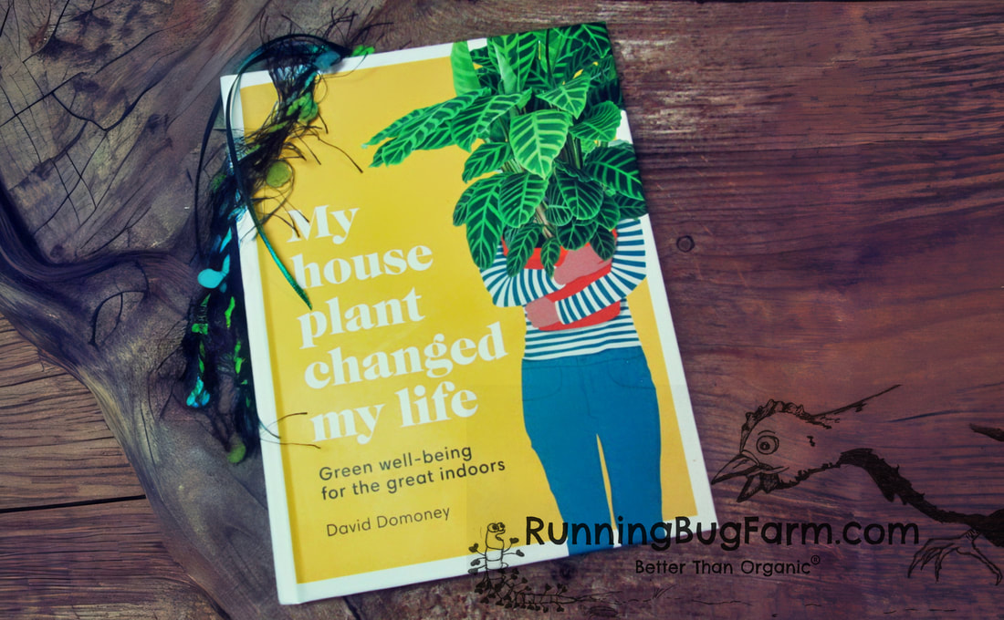 My house plant changed my life.  I am a full time Eco farmer who knows very little about houseplants. I spend most of my time growing food crops & cotton; all chemical free. I have very little time, plus too many cats & too little light for houseplants. Or so I thought.
