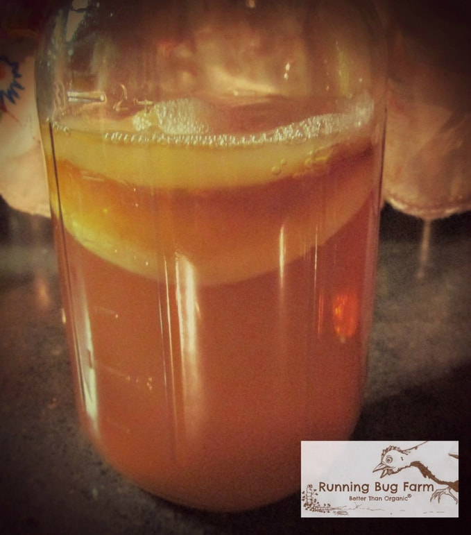 Reduce waste and improve your microbiome by making your own delicious kombucha at home with my easy to follow step by step guide to get you started.
