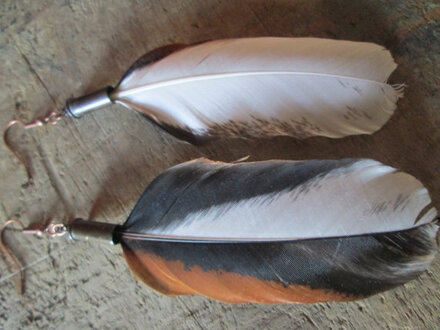   These are seriously the most beautiful, natural feathers I have ever seen! I can't wait to make some for myself and for my shop! Plus, super- fast shipping... will definitely be ordering again!! :)  Customer review with photo of feathers purchased from Running Bug Farm.