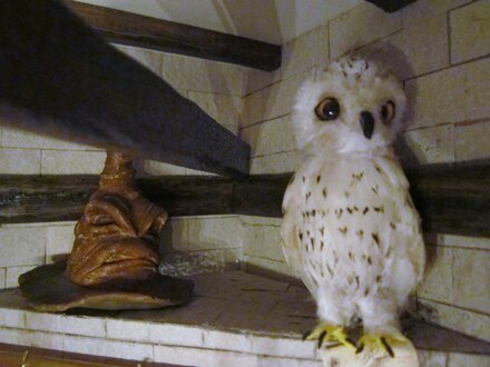 Miniature Harry Potter Hedwig the owl made from feathers from Running Bug Farm.  Hedwig is next to the sorting hat in a complete Harry Potter bedroom miniature.