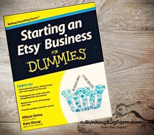 A micro business and etsy seller shares her review of the Dummies book, starting a business on Etsy.
