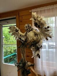Picture of a Giant owl sculpture made out of real feathers from running bug farm.  Just wanted to thank you for having such beautiful feathers!  Here's my owl and your feathers made him come to life.  Thank you, Have a great day - Jennifer K. Maine, USA