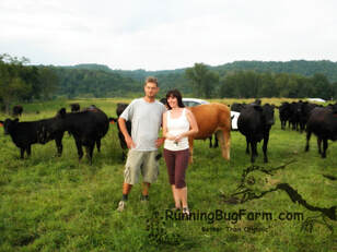 Homesteading: It Starts With Health. How two thirtysomethings moved from NJ to WV to follow their dream of freedom and organic farming for health and happiness.