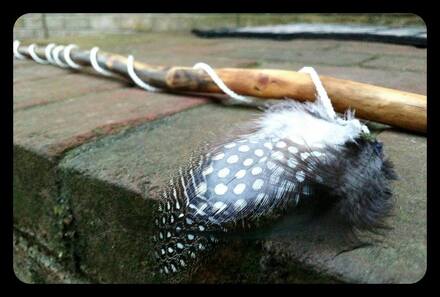 Customer appreciation photo of a guinea feather cat toy wand using feathers from Running Bug Farm.