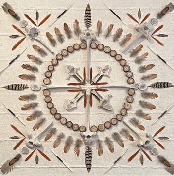customer picture of humane feathers bought at running bug farm usa used as artwork with organic vertebrae bones, porcupine bones and wood slices