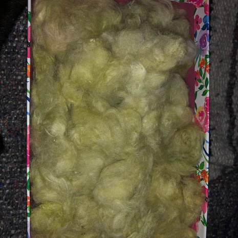 Customer photo of ginned organic heirloom arkansas green cotton from Running Bug Farm in WV.