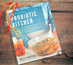 An eco farm girls review of 'The Probiotic Kitchen' cookbook.