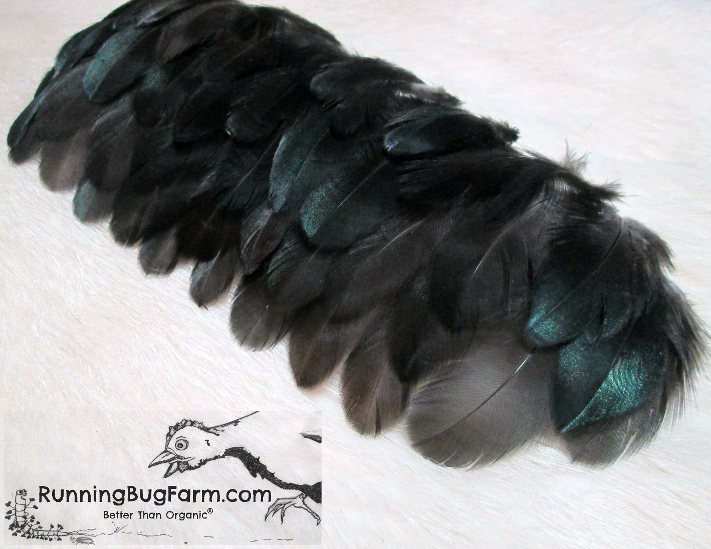 50/100Pcs Natural Black Rooster Feathers 13-18Cm Colorful Chicken Pheasant  Plumes For Crafts Jewelry Making Party Decoration orange 100PCS