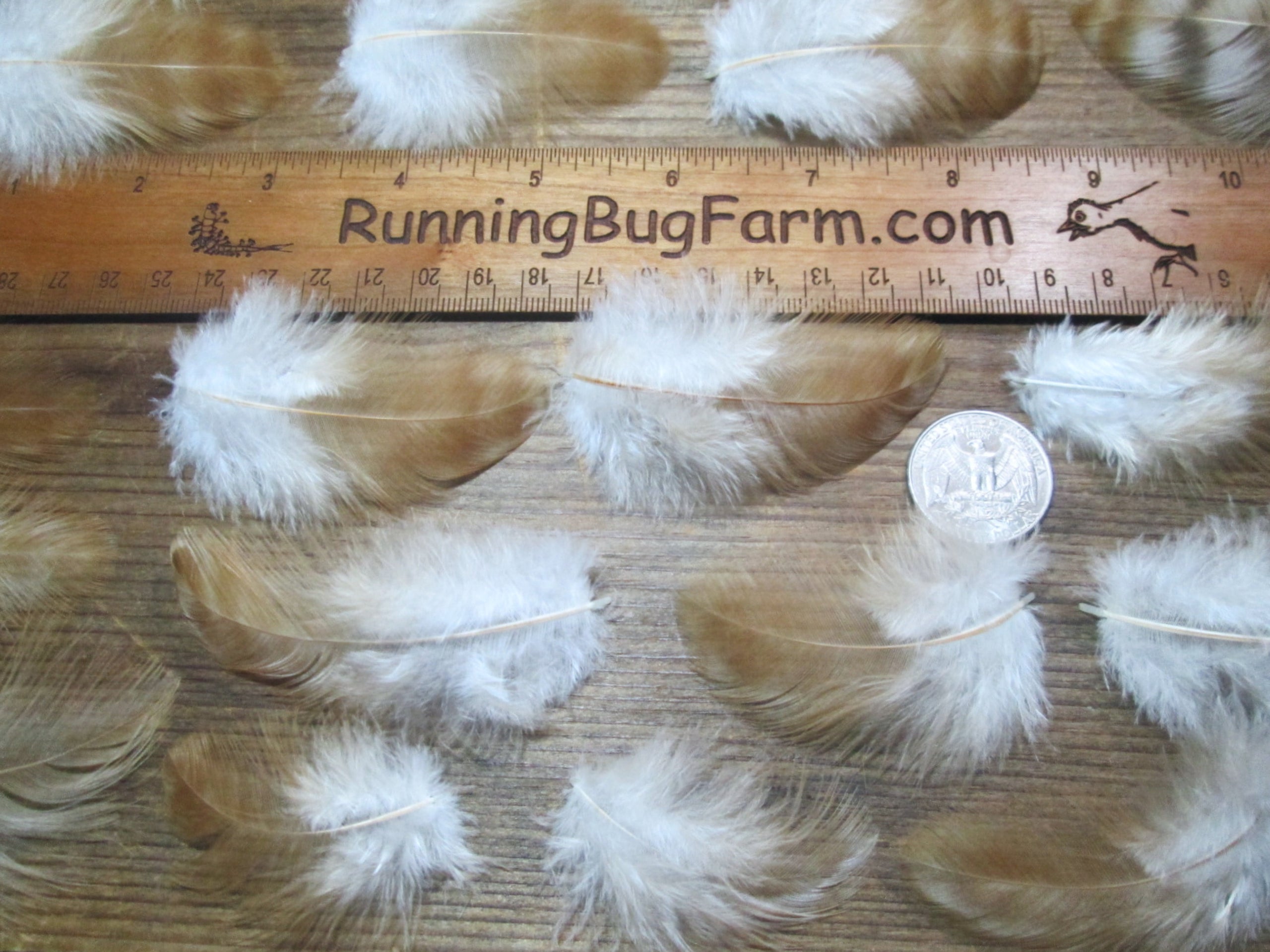 0.05 oz. Natural Mix Rooster Fluff Feathers