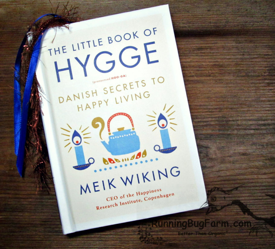 The Little Book Of Hyggee an Eco Farm Womans review.