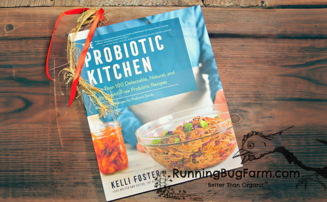 Are you looking for ideas for how to utilize fermented foods in meals and desserts? 'The Probiotic Kitchen' contains over 100 recipes to help you find more ways to enjoy probiotic rich foods.