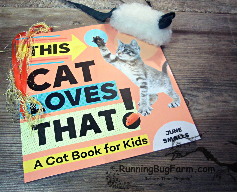 'This Cat Loves That!' A cat book for kids and any household of cat crazies like me.