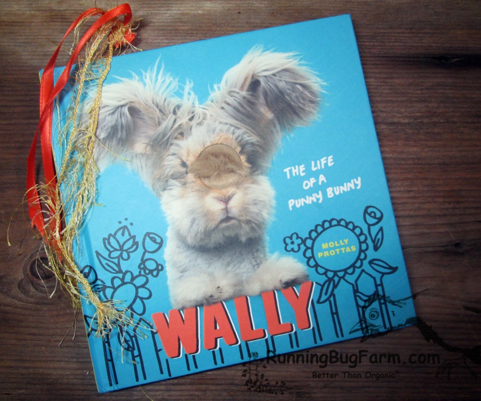 Hard cover kids story book about the adventures and life of Wally, a punny bunny by Molly Prottas. Reviewed by long time English Angora owner at Running Bug Farm.