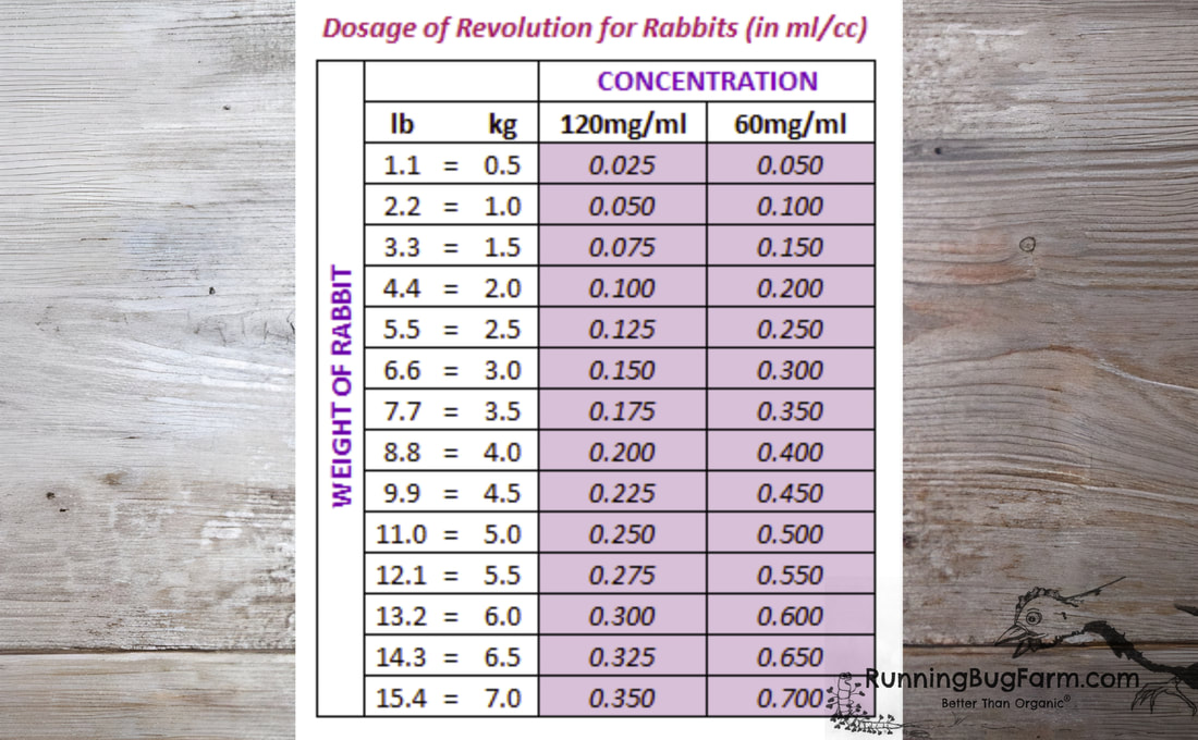 Dosage chart for treating angora rabbits with ivomec, revolution, stronghold, or ivermectin for fur mites, fleas, ear mites and worms.